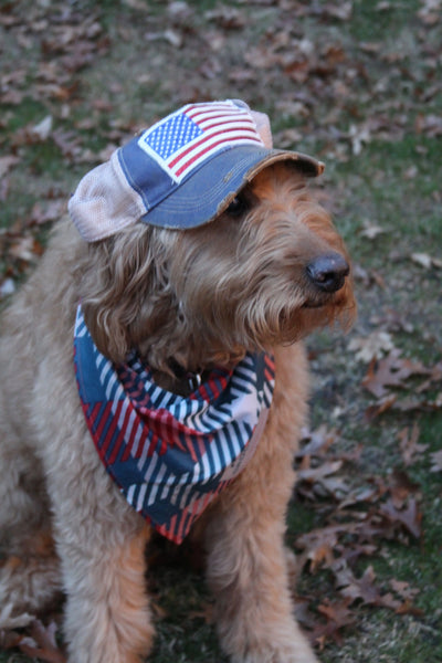 American Flag BohoGroove hat worn by puppy